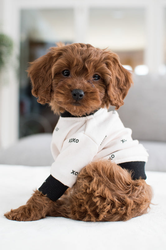 Xoxo Dog Sweatshirt