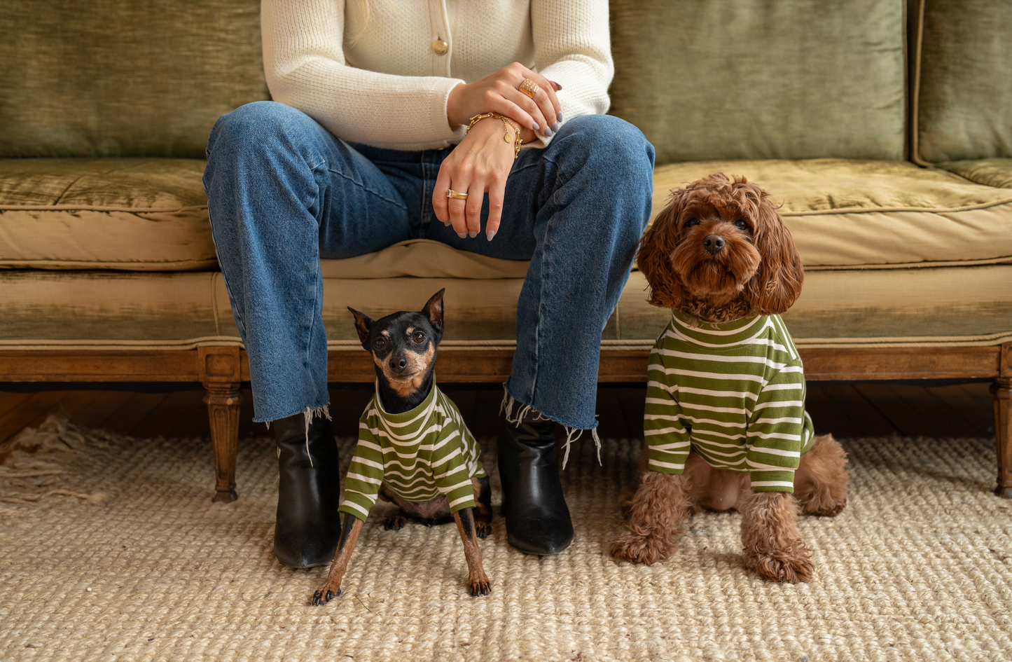 Norfolk Dog Shirt